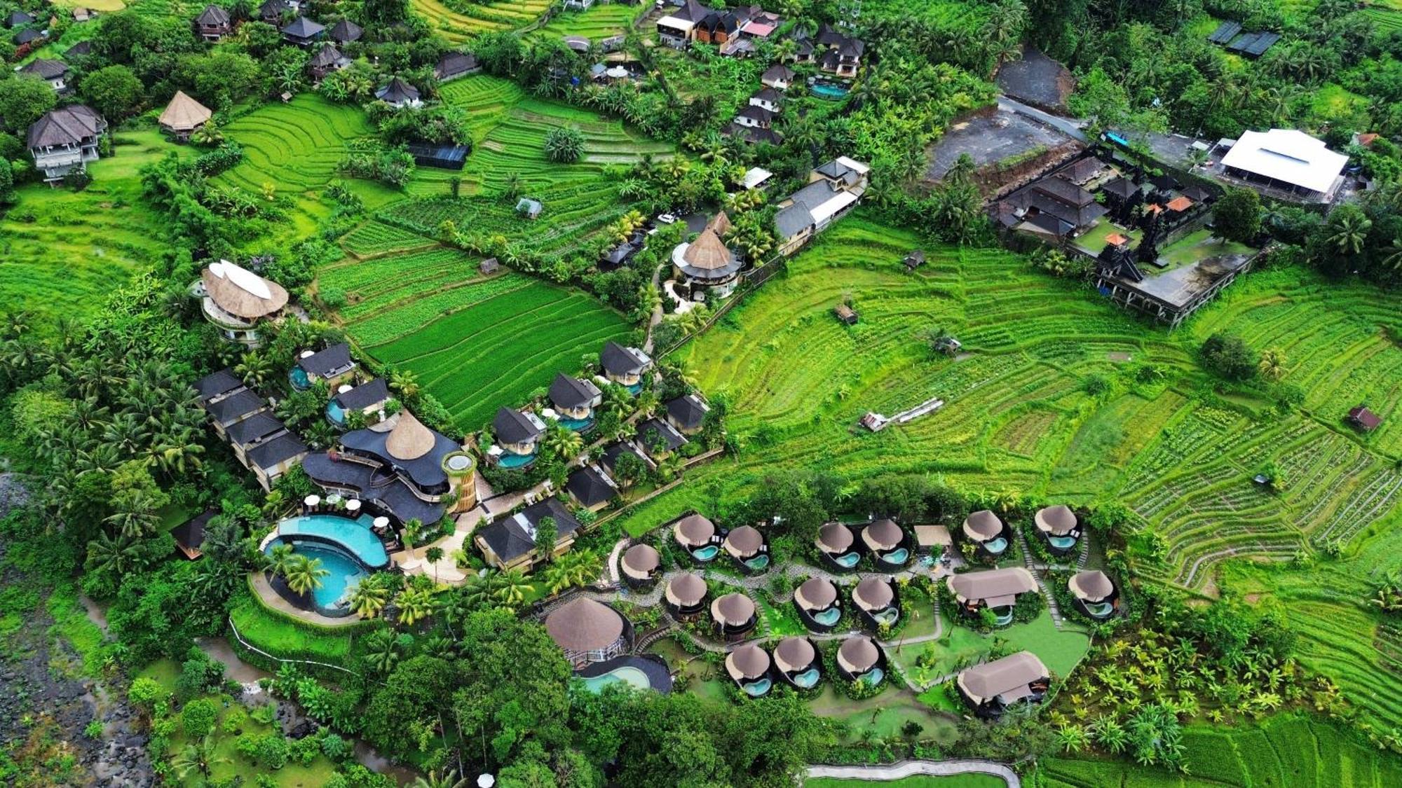 Wapa Di Ume Sidemen Hotell Exteriör bild Aerial view of the resort
