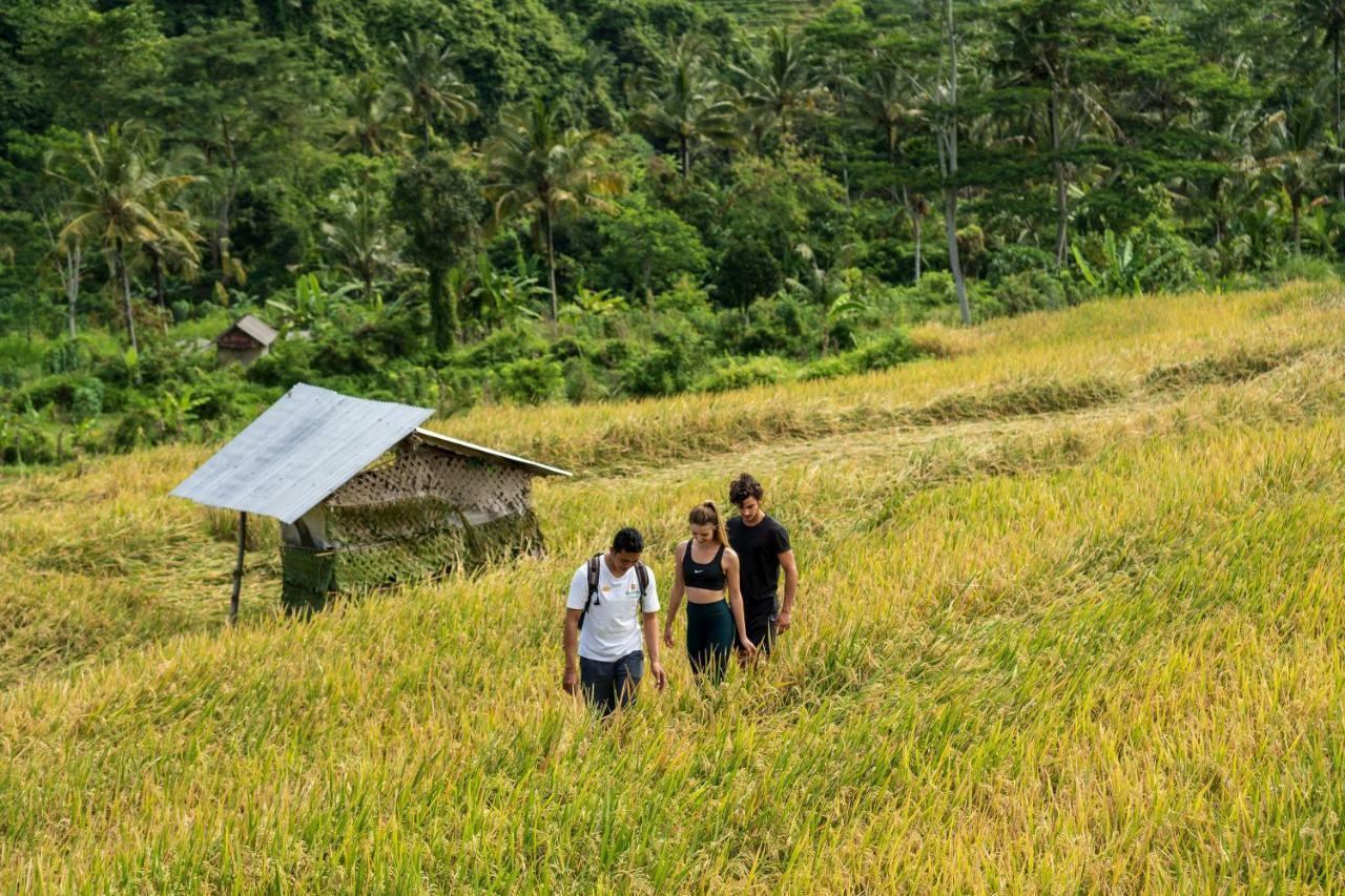 Wapa Di Ume Sidemen Hotell Exteriör bild A rice field in Bali